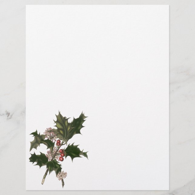 Flyer Natal Antigo, Planta de Azevinho Verde com Frutas (Frente)