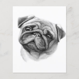 Flyer O Retrato do Pug Rosto de Cachorro Pug Fofo