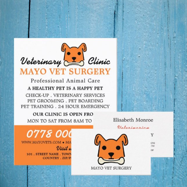 Flyer Orange Dog, Veterinarian, Serviço Veterinário (Criador carregado)