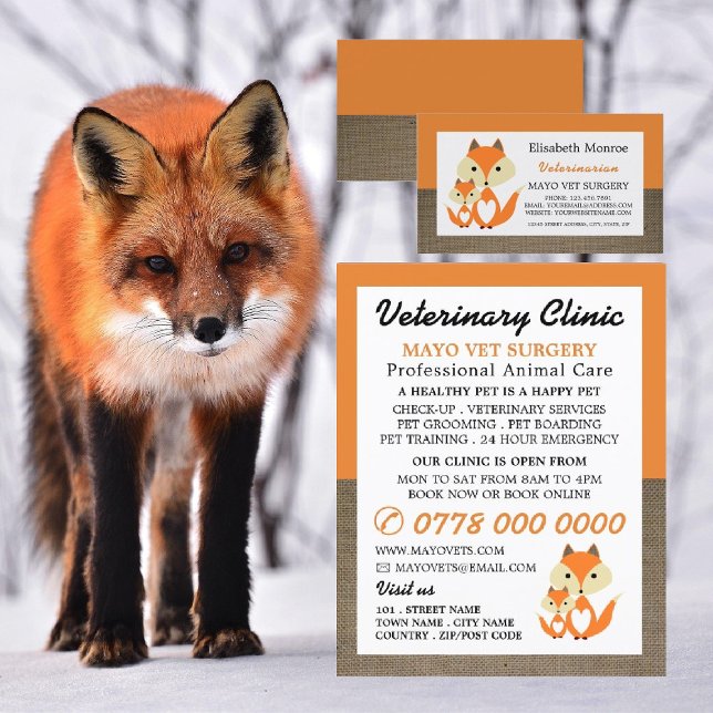 Flyer Orange Fox, Veterinarian, Serviço Veterinário (Criador carregado)