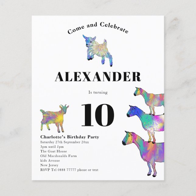 Flyer Orçamento de Festa de Aniversário com Tema de Cabr (Frente)