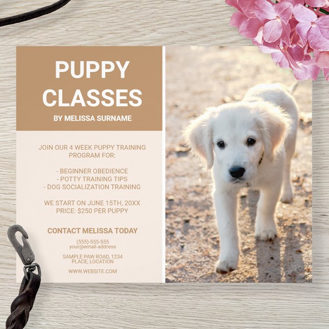 Flyer Ouro Retriever Puppy Fotografia Personalizada Clas (Criador carregado)