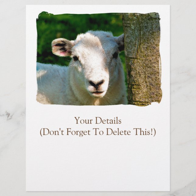 FLYER OVINO (Frente)