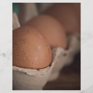 Flyer Ovos frescos da fazenda