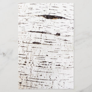 Flyer Padrão de latido de aves