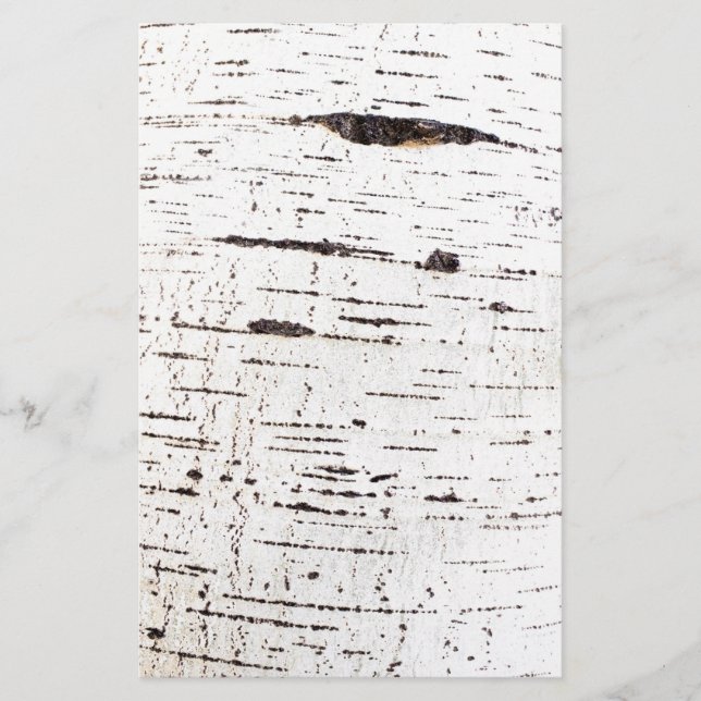 Flyer Padrão de latido de aves (Frente)