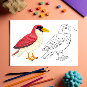 Flyer Página de colorir aves de desenho animado