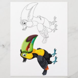 Flyer página para colorir do pássaro tucano