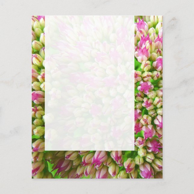 Flyer Painel 0110 - Sedum "Alegria de outono" (B&W) (Frente)