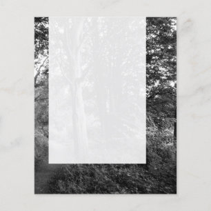 Flyer Painel 013 - In the Woods