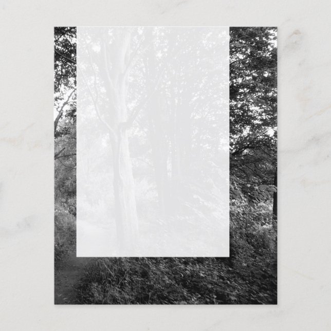 Flyer Painel 013 - No bosque (Frente)