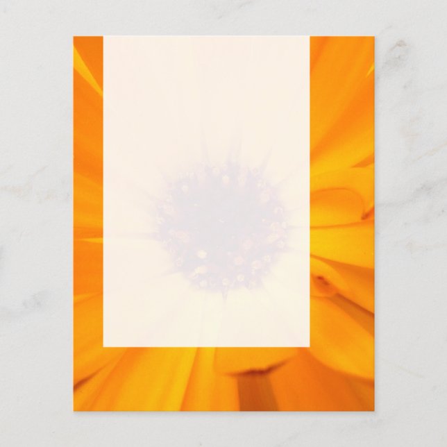Flyer Painel 026 - Orange Marigold (Frente)
