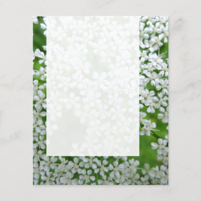 Flyer Painel 02 - Cow Parsley (Frente)