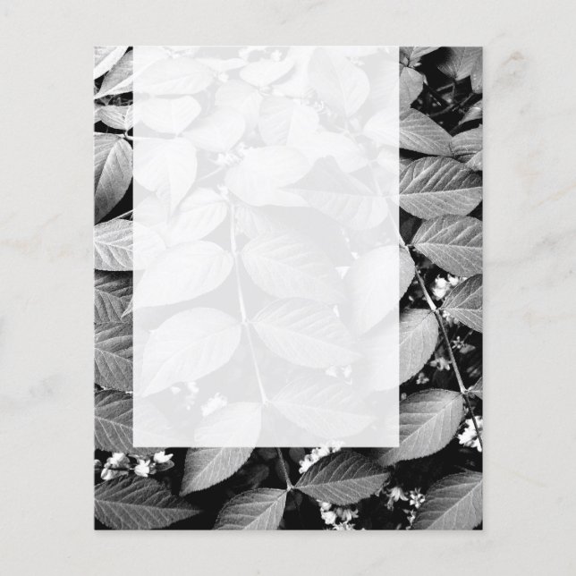 Flyer Painel 037 - Folhas (Frente)