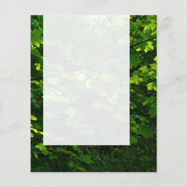 Flyer Painel 039 - Folhas de Verão (Frente)