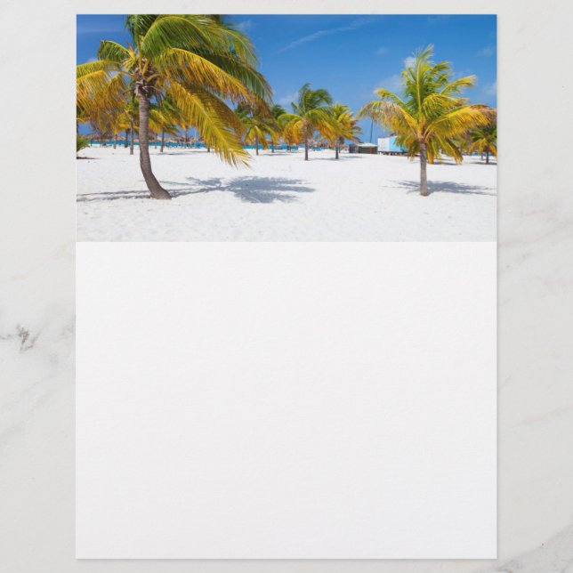 Flyer Palmeiras na praia oceânica (Frente)