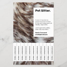 Flyer Pannelet de Cuidado Profissional de Animais de Est