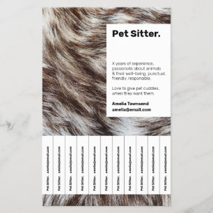 Flyer Pannelet de Cuidado Profissional de Animais de Est