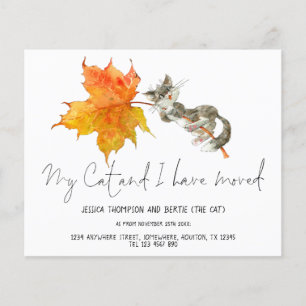 Flyer PAPEL   Engraçado Meu Gato Eu Mudei O Script Para