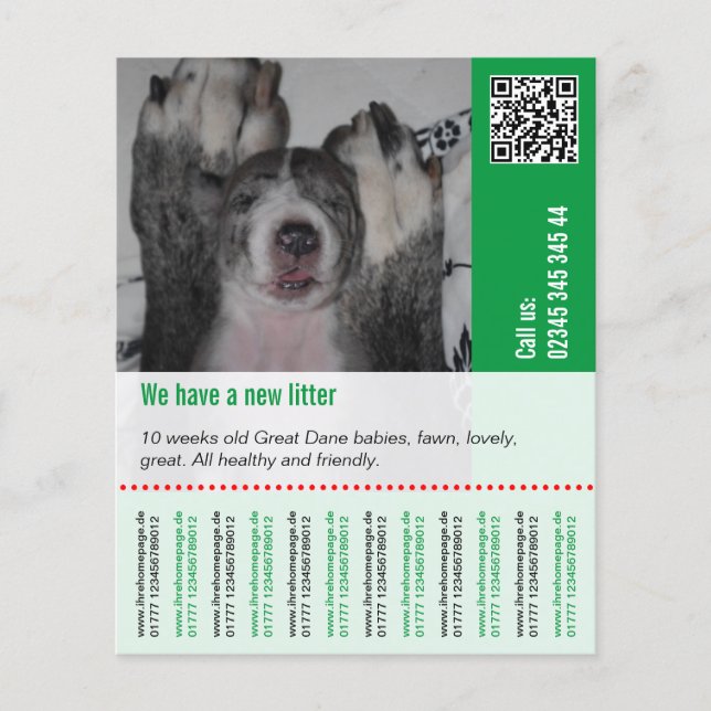 Flyer Para vender cachorros (Frente)
