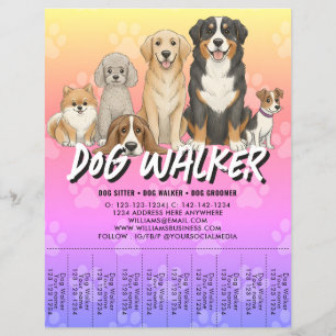 Flyer Passeador de Cães Cuidador de Animais Promocional 