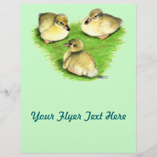 Flyer Patinhos nevado do pato selvagem