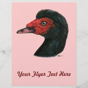 Flyer Pato: Muscovy Head