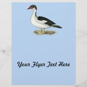 Flyer Pato Preto Muscovado