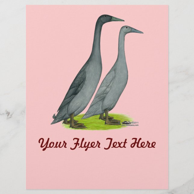 Flyer Patos Correntes Azuis (Frente)