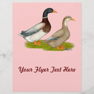 Flyer Patos da Saxónia