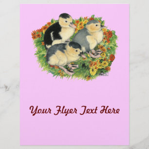 Flyer Patos de Jardim Flor