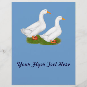 Flyer Patos:  White Pekins