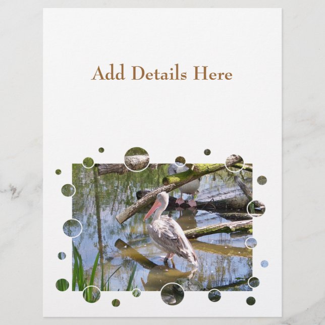 FLYER PELICANOS (Frente)