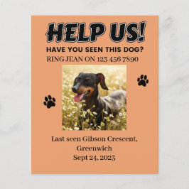 Flyer PERDIDO OS PEDAÇOS DE CÃO. AJUDE-NOS! Detalhes edi