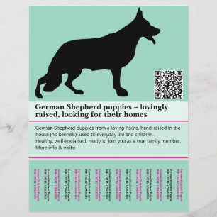 Flyer personalizado do Cão Pastor Minimal