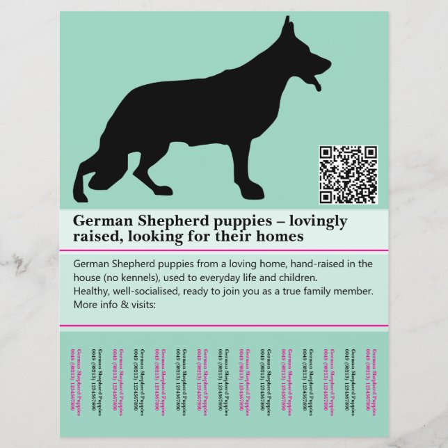Flyer personalizado do Cão Pastor Minimal (Frente)