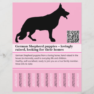 Flyer personalizado do Cão Pastor Minimal