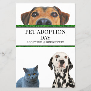 Flyer Pet Adotion Day