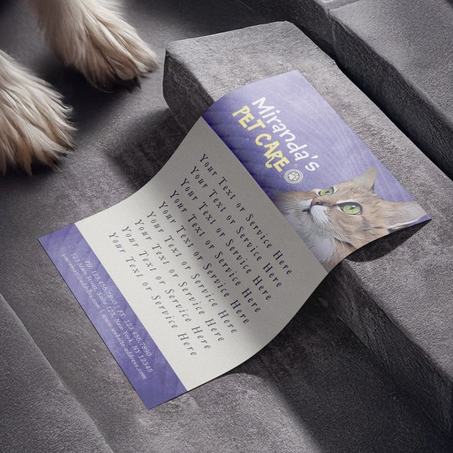 Flyer Pet Care Sentando Banho Alinhando Gato Salão (Criador carregado)