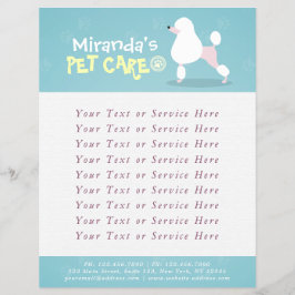 Flyer Pet Care Sitting Bathing Grooming Salon Comida Com