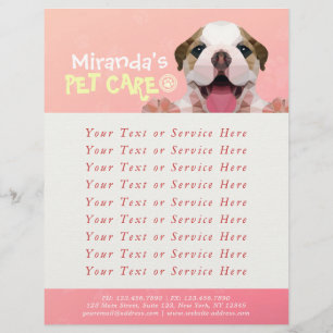 Flyer Pet Care Sitting Bathing Grooming Salon Comida Com