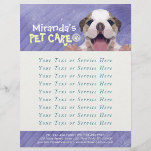 Flyer Pet Care Sitting Bathing Grooming Salon Comida Com