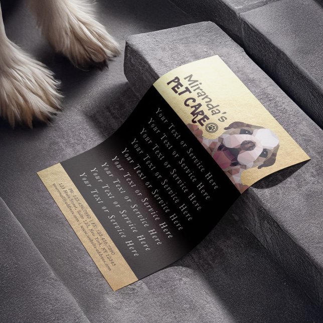 Flyer Pet Care Sitting Bathing Grooming Salon Comida Com (Criador carregado)
