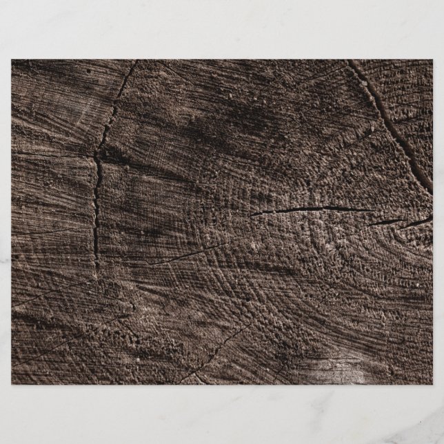 Flyer Pilha de Árvore (Frente)