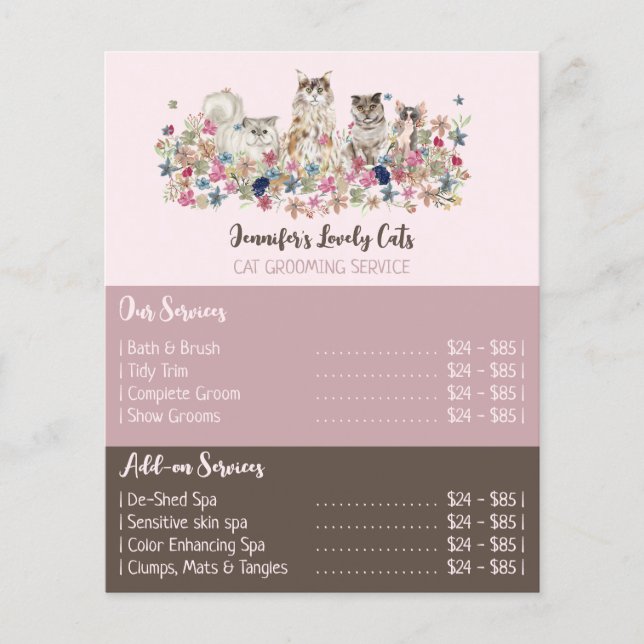 Flyer Pink Brochure Cats Groomer Service Offers (Frente)