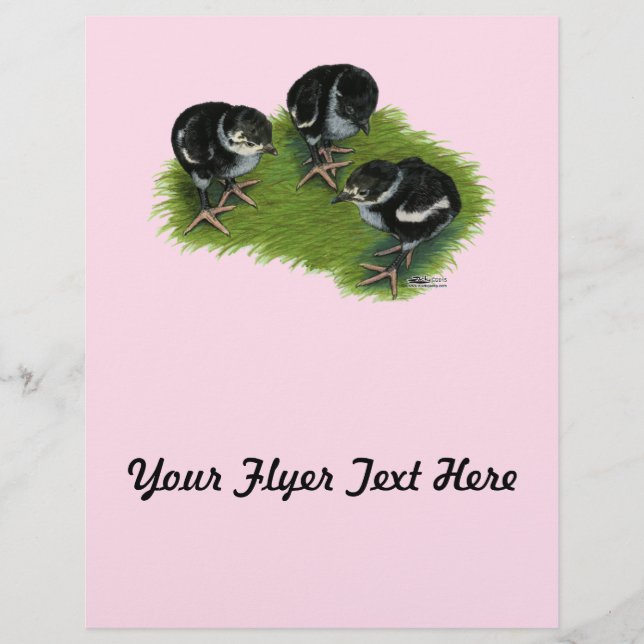 Flyer Pintinhos Pretos (Frente)