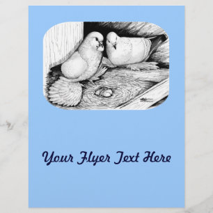 Flyer Pombos De Gelo