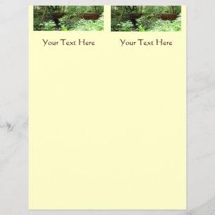 Flyer Ponte Muir Woods I