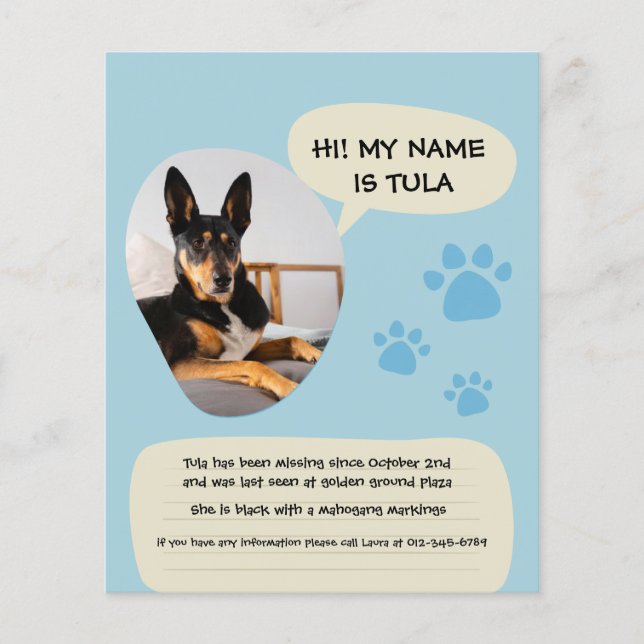 Flyer Poster de Foto Azul Moderno do Cão Ausente (Frente)
