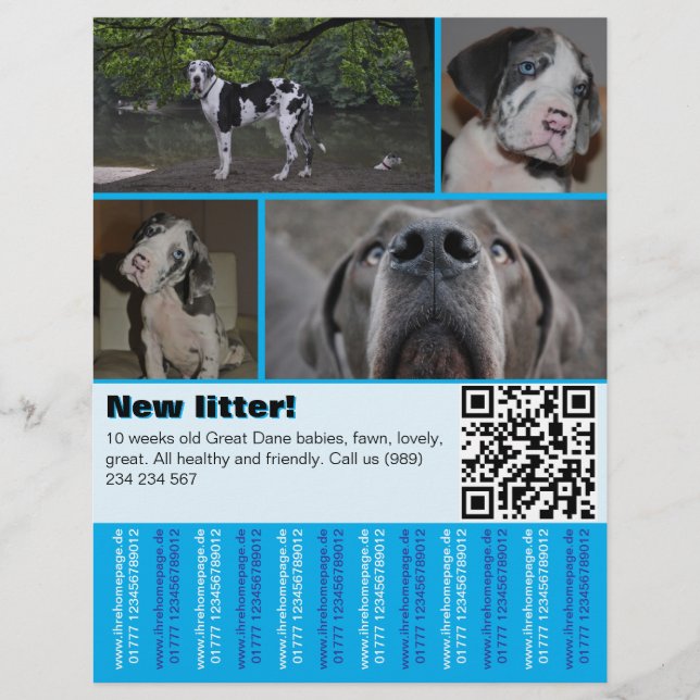 Flyer Pôster de Venda de Cachorro de Design 4 fotos (Frente)